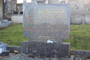 Breslin Brendan Clonnfinglas